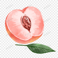 麻豆网站
